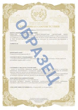 Образец Сертификат СТО 01.064.00220722.2-2020 Междуреченск Сертификат СТО 01.064.00220722.2-2020 